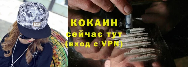ГАЛЛЮЦИНОГЕННЫЕ ГРИБЫ Абаза