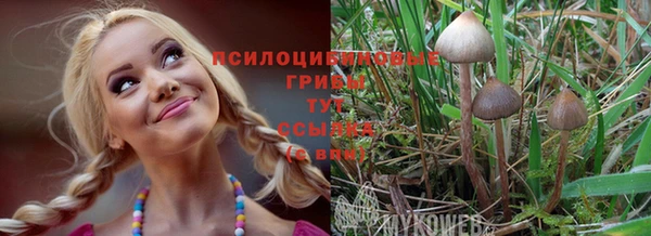 ГАЛЛЮЦИНОГЕННЫЕ ГРИБЫ Абаза