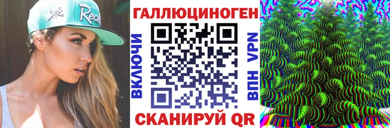 Псилоцибиновые грибы Psilocybe  Абинск 